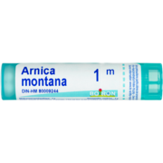 Boiron Homeopathic Medicine Arnica Montana 1 m 4 g