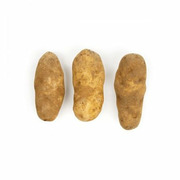 Potato - Baker