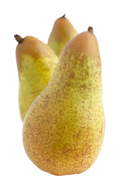 Organic Concord Pears