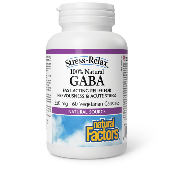 Natural Factors GABA 100 % naturel  250 mg  60 capsules végétariennes