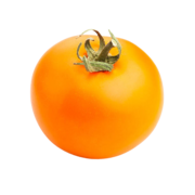 Tomates Oranges Biologiques