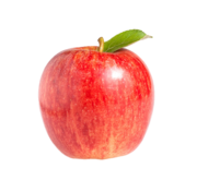 Organic Royal Gala Apples