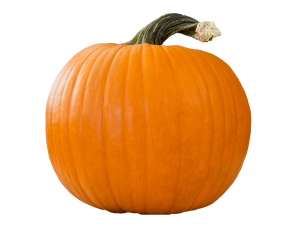 Organic Small pumpkin