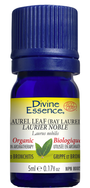 huile essentielle de Laurier Noble