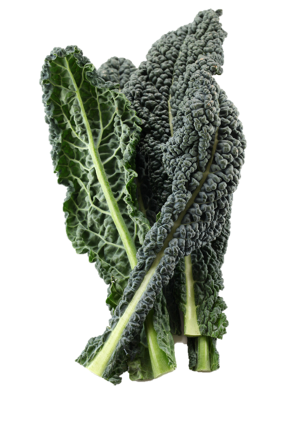 Organic Black Kale