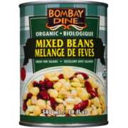 Bombay Dine Mixed Beans Organic 540 ml
