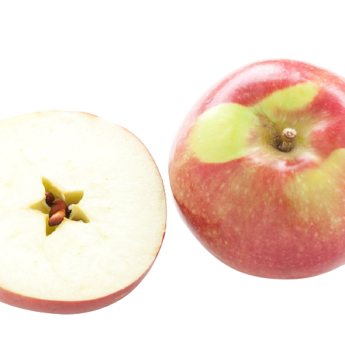 Pommes Mcintosh  Biologiques