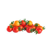 Tomates Cerise Medley couleur biologiques