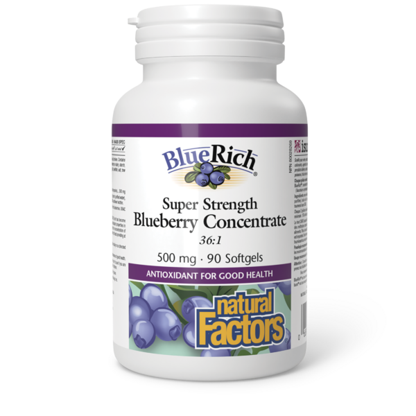 Natural Factors BlueRich Ultra-fort Concentré de bleuet  500 mg  90 gélules