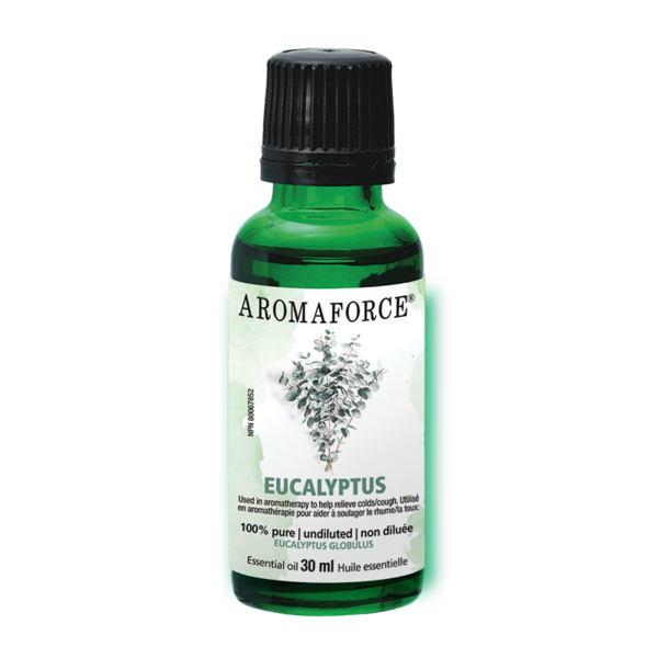 Aromaforce® Eucalyptus – Huile essentielle