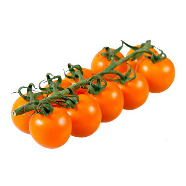 Tomate cerise orange biologiques