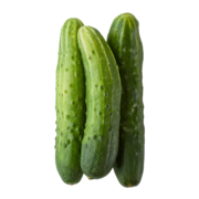 Organic Champ Cucumber
