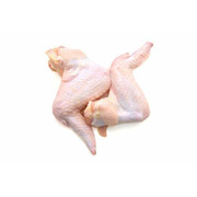 Fresh Halal Chicken Wings