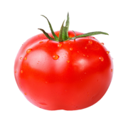 Tomates de serres biologiques