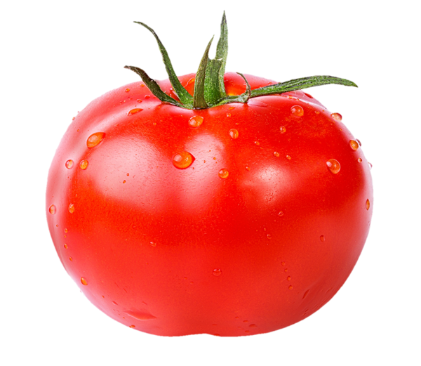 Tomates de serres  biologiques