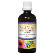 Natural Factors Anti-Viral Potent Fresh Herbal Tincture, ECHINAMIDE
