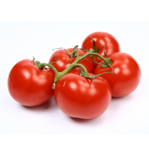 Organic Saladio tomatoes 