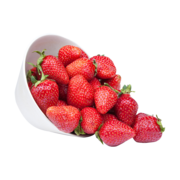 Organic Quebec Strawberries