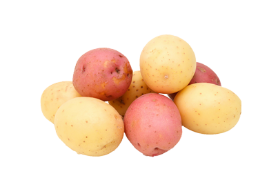Patates grelot 3 couleurs Biologiques