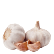 Organic Jumbo Garlic