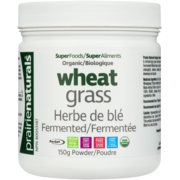 Wheatgrass jus d'herbe de blé biologique et fermentée - poudre