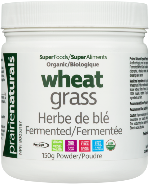 Wheatgrass jus d'herbe de blé biologique et fermentée - poudre