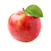 Organic Spartan Apples