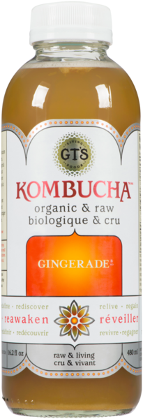 GT's Living Foods Kombucha Gingerade 480 ml